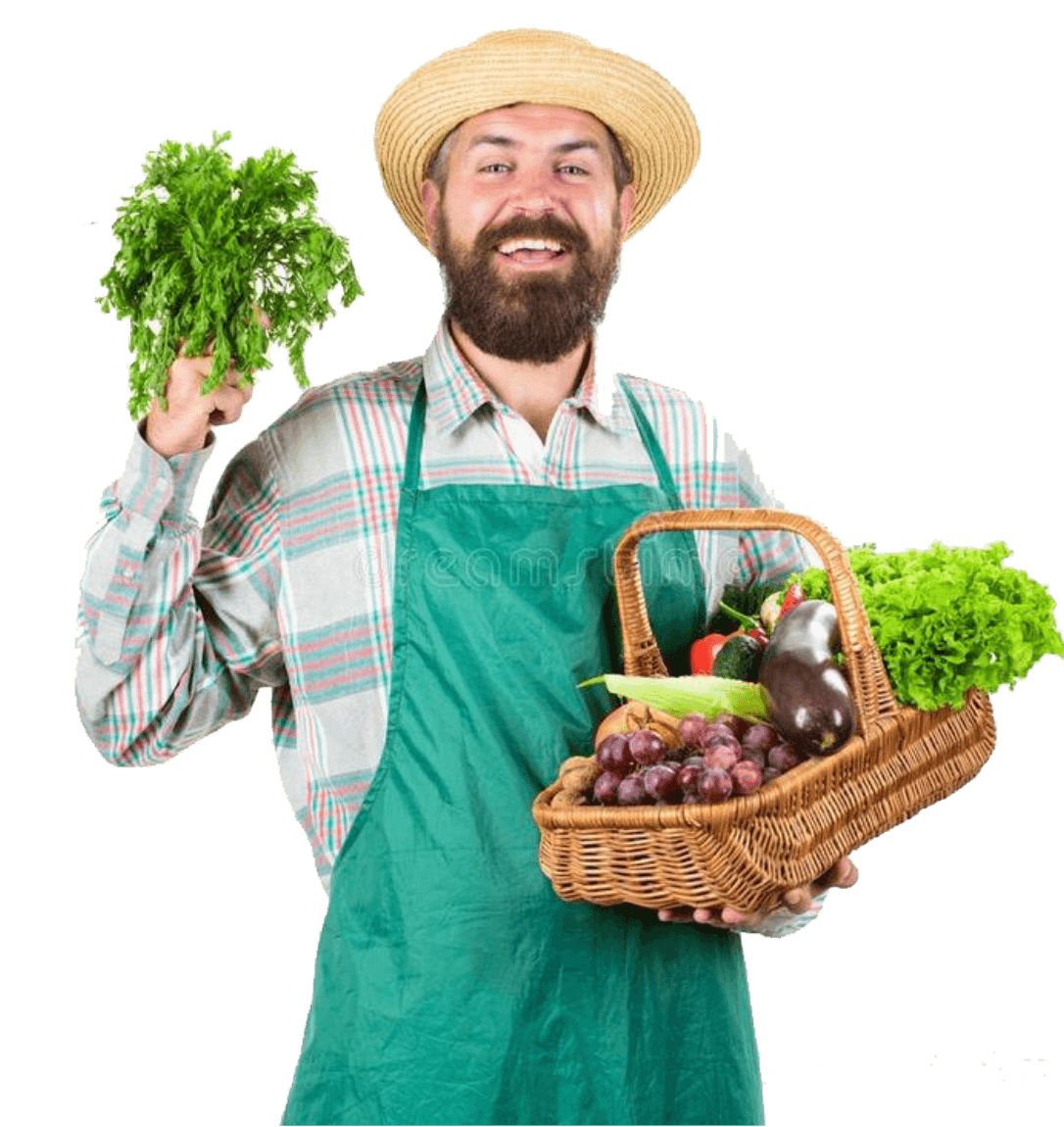 ����ƴ����������Ӧ����ô��
